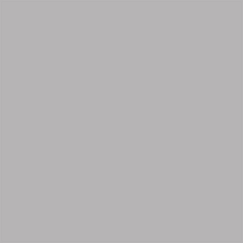 Vitaluminium | RAL 9006