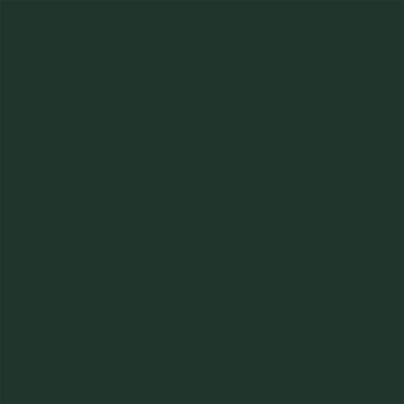 Grangrön | RAL 6009