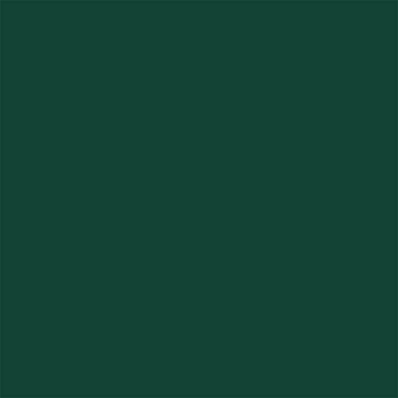 Mossgrön | RAL 6005